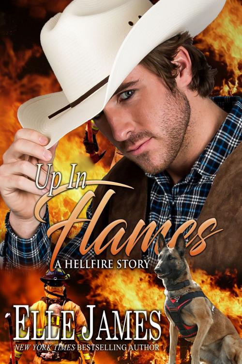 Cover of the book Up in Flames by Elle James, Twisted Page Inc