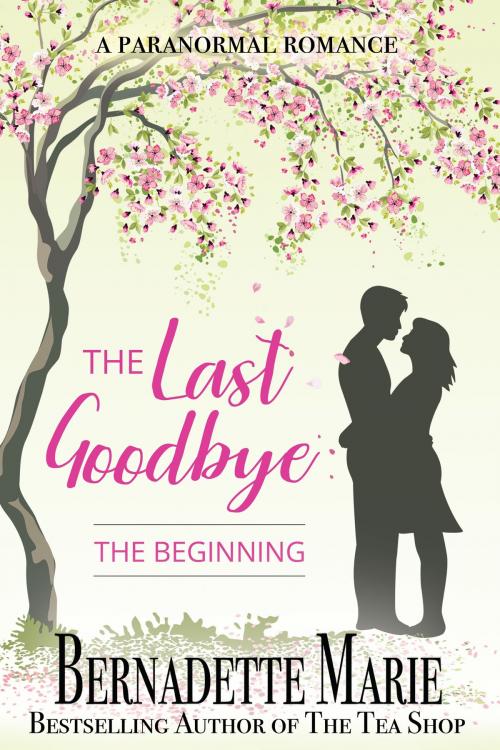 Cover of the book The Last Goodbye by Bernadette Marie, 5 Prince Publishing