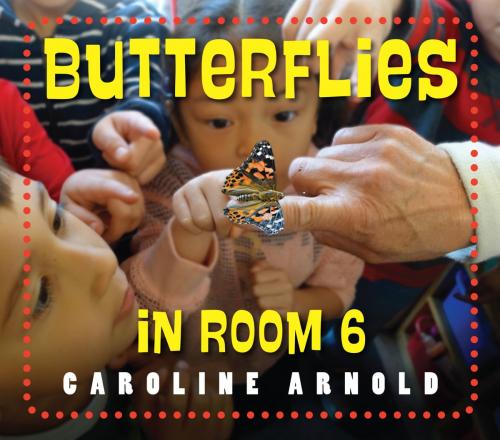 Cover of the book Butterflies in Room 6 by Caroline Arnold, Charlesbridge