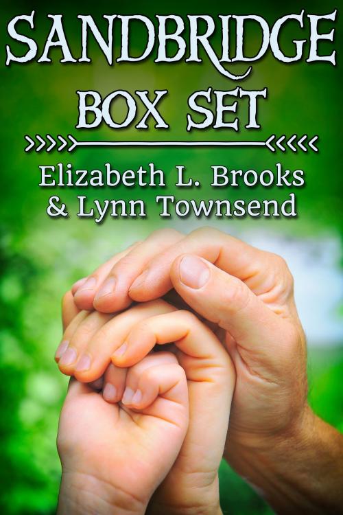 Cover of the book Sandbridge Box Set by Elizabeth L. Brooks, JMS Books LLC