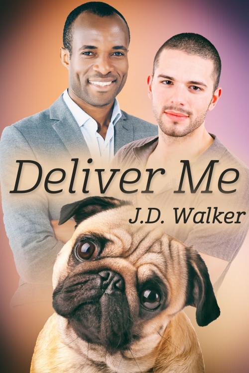 Cover of the book Deliver Me by J.D. Walker, JMS Books LLC