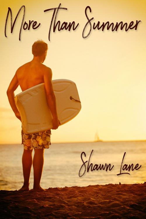 Cover of the book More Than Summer by Shawn Lane, JMS Books LLC