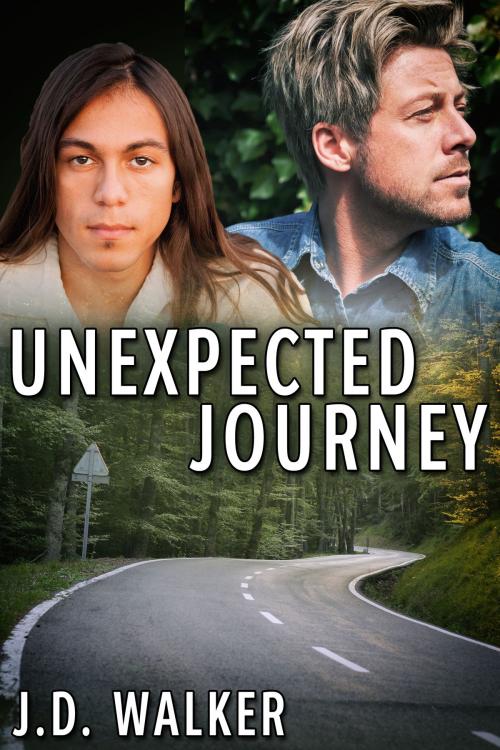 Cover of the book Unexpected Journey by J.D. Walker, JMS Books LLC
