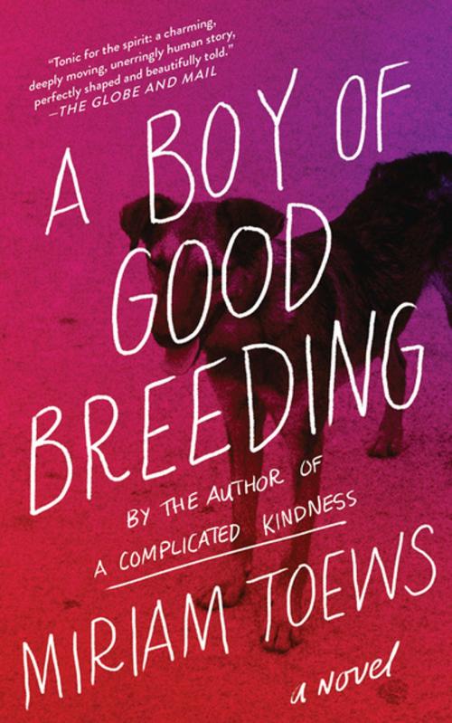 Cover of the book A Boy of Good Breeding by Miriam Toews, Counterpoint