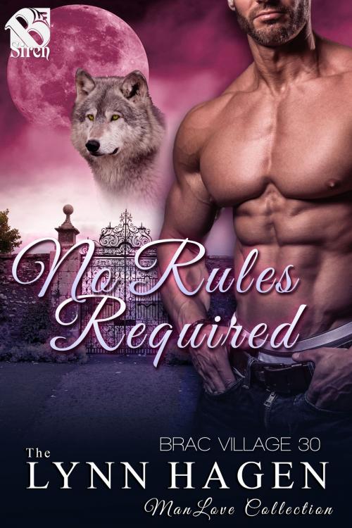Cover of the book No Rules Required by Lynn Hagen, Siren-BookStrand