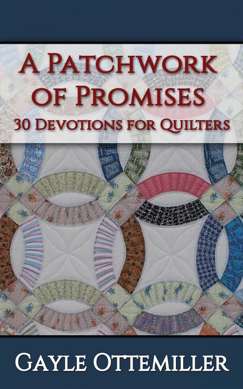 Cover of the book A Patchwork of Promises by Gayle C. Ottemiller, Lighthouse Publishing of the Carolinas