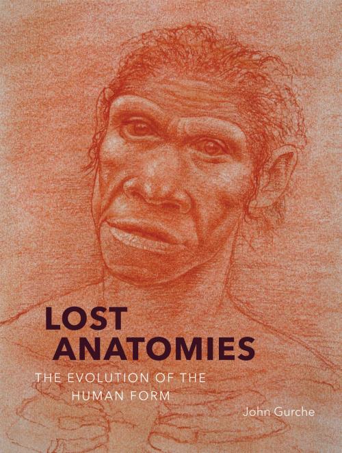 Cover of the book Lost Anatomies by John Gurche, David R. Begun, Carol Ward, ABRAMS