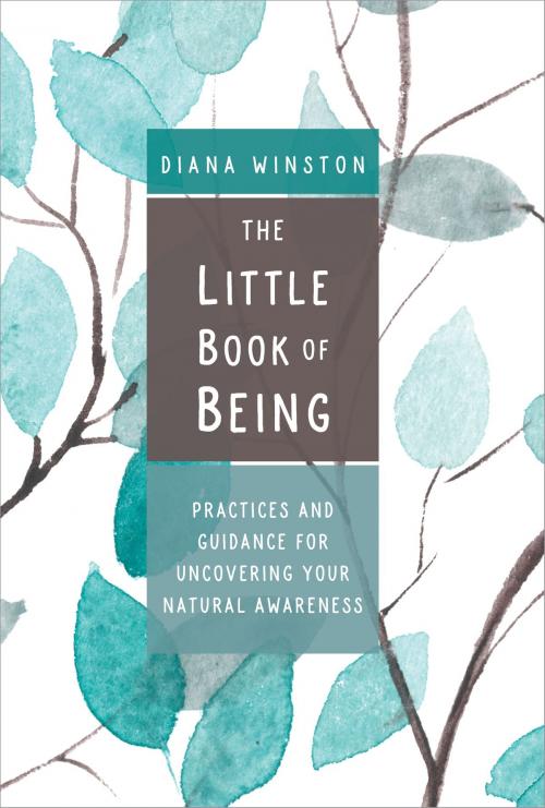 Cover of the book The Little Book of Being by Diana Winston, Sounds True