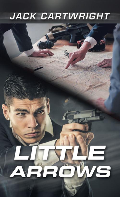 Cover of the book Little Arrows by Jack Cartwright, AuthorHouse UK