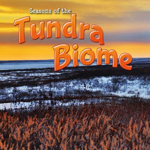 Cover of the book Seasons Of The Tundra Biome by Shirley Duke, Rourke Educational Media