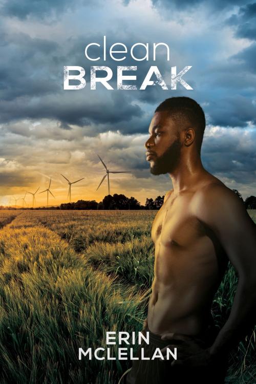 Cover of the book Clean Break by Erin McLellan, Erin McLellan