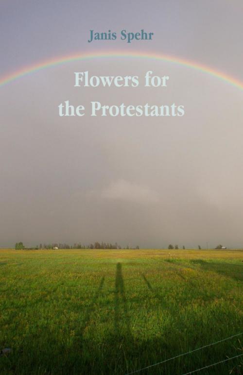 Cover of the book Flowers for the Protestants by Janis Spehr, Ginninderra Press