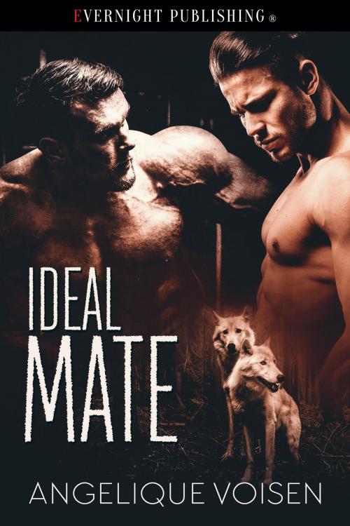 Cover of the book Ideal Mate by Angelique Voisen, Evernight Publishing