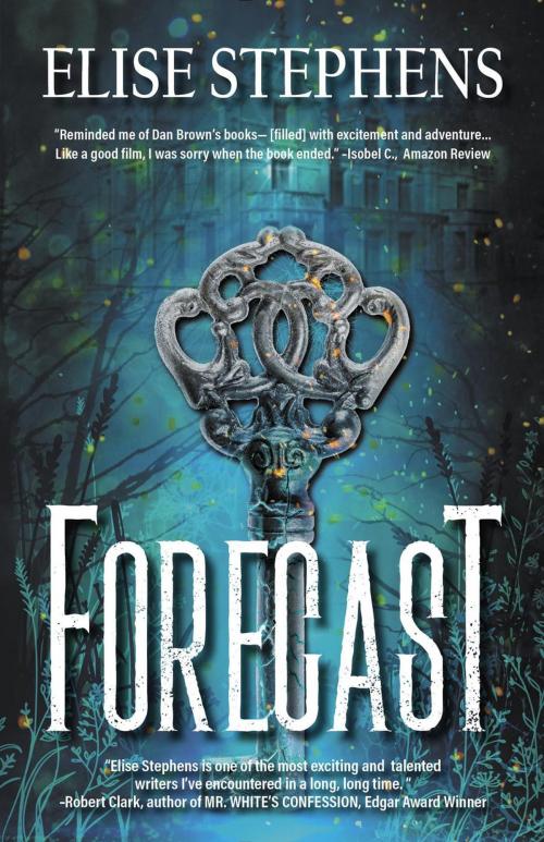 Cover of the book Forecast by Elise Stephens, Dragon Moon Press