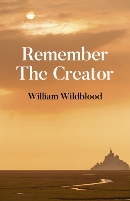 Cover of the book Remember the Creator by William Wildblood, John Hunt Publishing