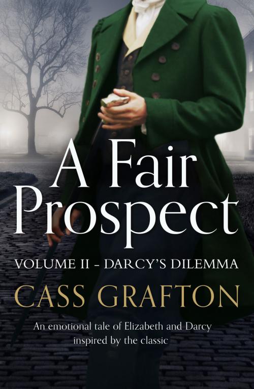 Cover of the book A Fair Prospect by Cass Grafton, Canelo