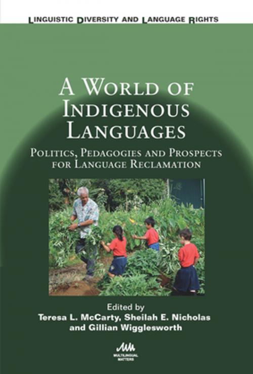 Cover of the book A World of Indigenous Languages by , Channel View Publications