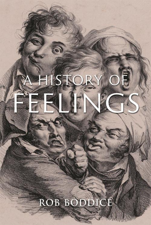 Cover of the book A History of Feelings by Rob Boddice, Reaktion Books