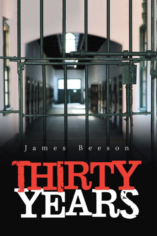Cover of the book Thirty Years by James Beeson, Xlibris US