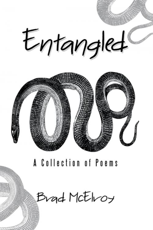 Cover of the book Entangled by Brad McElroy, Xlibris US