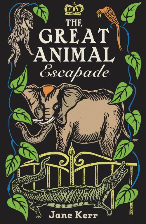 Cover of the book The Great Animal Escapade by Jane Kerr, Chicken House