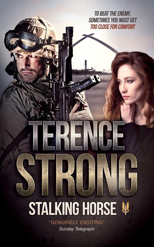 Cover of the book Stalking Horse by Terence Strong, SILVER FOX PRESS