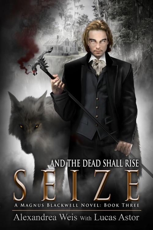 Cover of the book Seize by Alexandrea Weis, Vesuvian Books