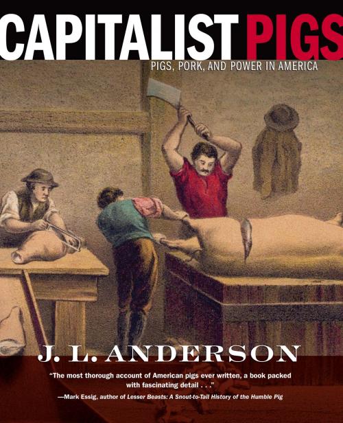Cover of the book Capitalist Pigs by J. L. Anderson, West Virginia University Press