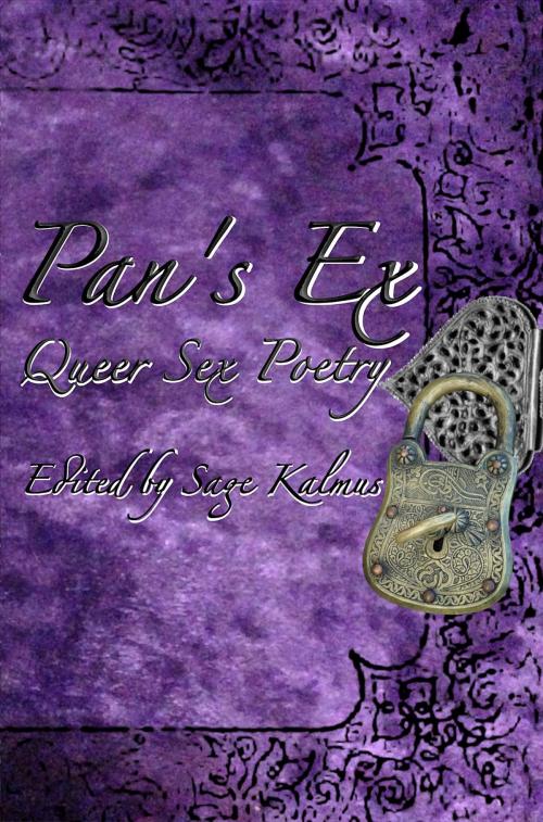 Cover of the book Pan's Ex by , Qommunity Media LLC
