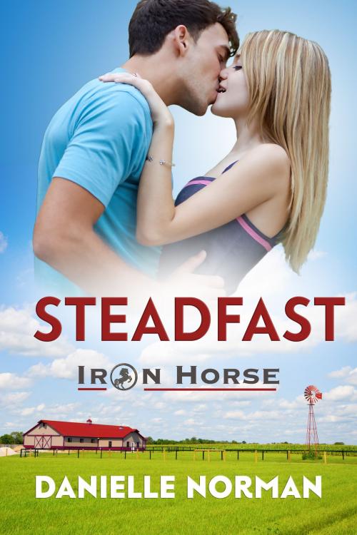 Cover of the book Steadfast by Danielle Norman, F Squared, LLP