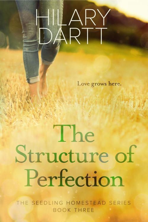 Cover of the book The Structure of Perfection by Hilary Dartt, Darttboard Creative Writing LLC