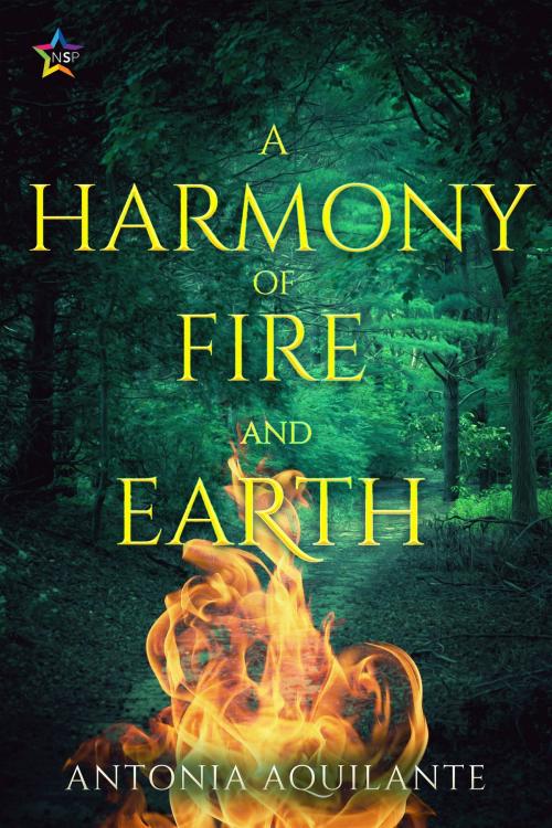 Cover of the book A Harmony of Fire and Earth by Antonia Aquilante, Nine Star Press