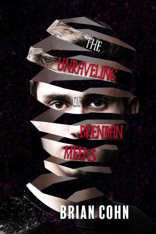 Cover of the book The Unraveling of Brendan Meeks by Brian Cohn, Pandamoon Publishing