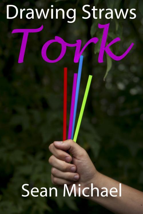 Cover of the book Drawing Straws: Tork by Sean Michael, Sean Michael