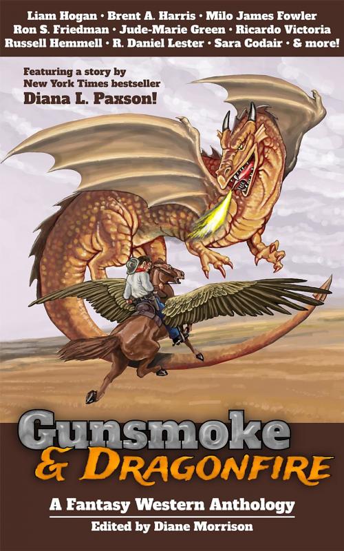 Cover of the book Gunsmoke & Dragonfire by , Diane Morrison