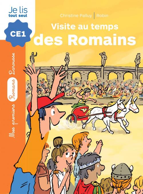 Cover of the book La pierre du temps - Visite au temps des Romains by Christine Palluy, Larousse