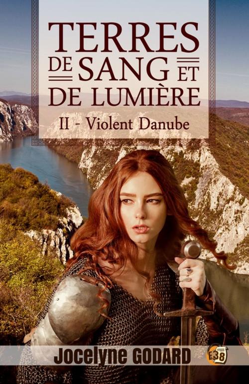 Cover of the book Violent Danube by Jocelyne Godard, Les éditions du 38