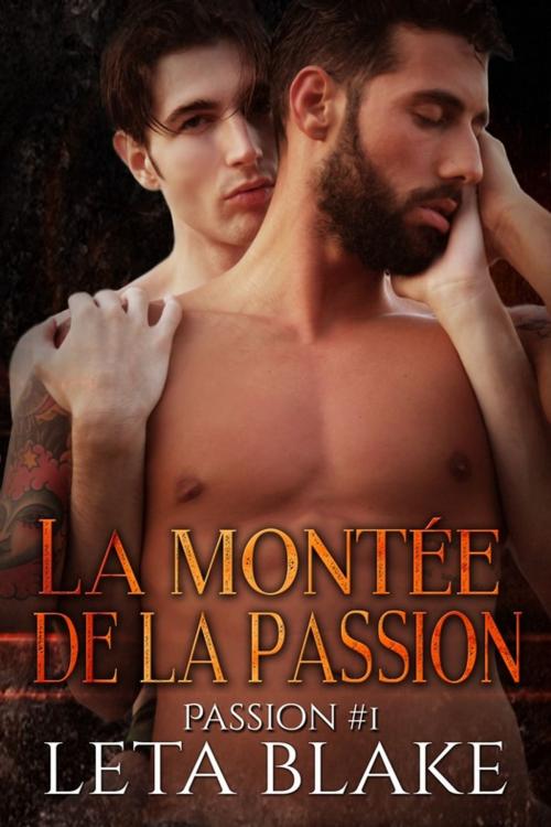 Cover of the book La montée de la passion by Leta Blake, Juno Publishing