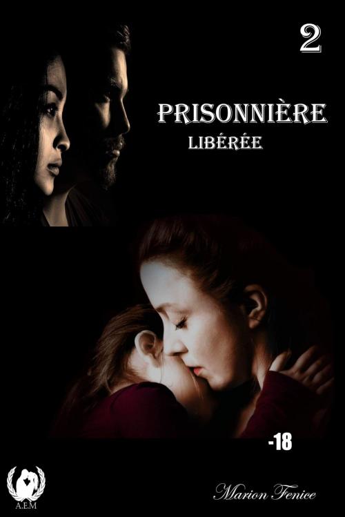 Cover of the book Prisonnière - Tome 2 : Libérée by Marion Fénice, Art en Mots Éditions
