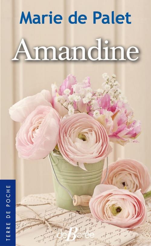 Cover of the book Amandine by Marie de Palet, De Borée
