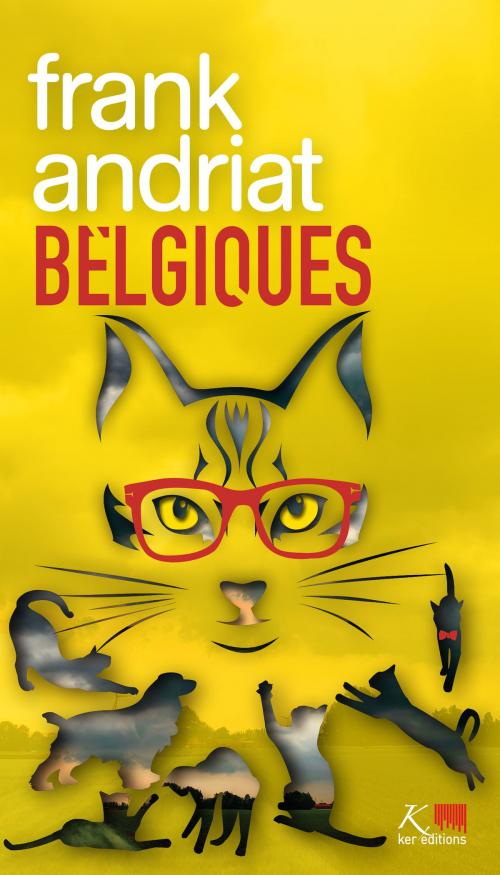 Cover of the book Belgiques by Frank Andriat, Ker