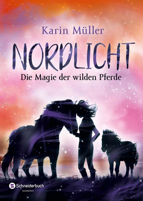 Cover of the book Nordlicht, Band 03 by Karin Müller, Egmont Schneiderbuch.digital