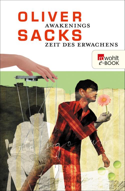 Cover of the book Awakenings - Zeit des Erwachens by Oliver Sacks, Alexandre Métraux, Regine Schmidt, Rowohlt E-Book