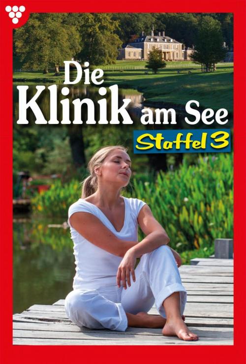 Cover of the book Die Klinik am See Staffel 3 – Arztroman by Britta Winckler, Kelter Media