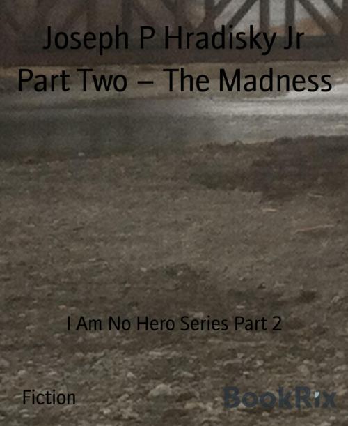 Cover of the book Part Two – The Madness by Joseph P Hradisky Jr, BookRix