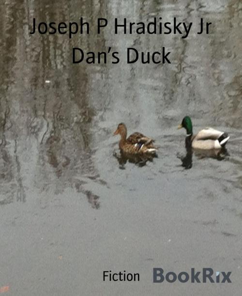 Cover of the book Dan's Duck by Joseph P Hradisky Jr, BookRix