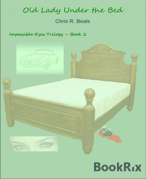 Cover of the book Old Lady Under the Bed by Chris Beals, BookRix