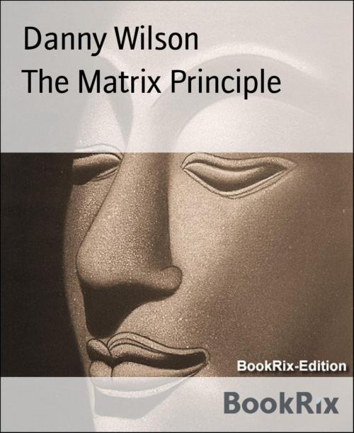 Cover of the book The Matrix Principle by Danny Wilson, BookRix