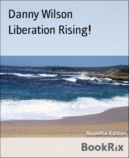 Cover of the book Liberation Rising! by Danny Wilson, BookRix