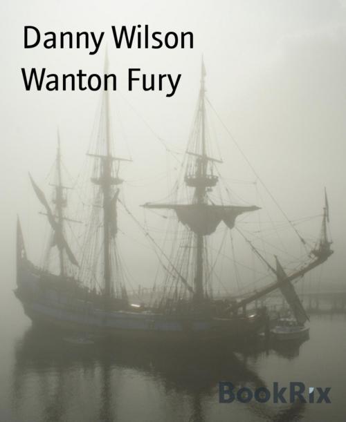 Cover of the book Wanton Fury by Danny Wilson, BookRix